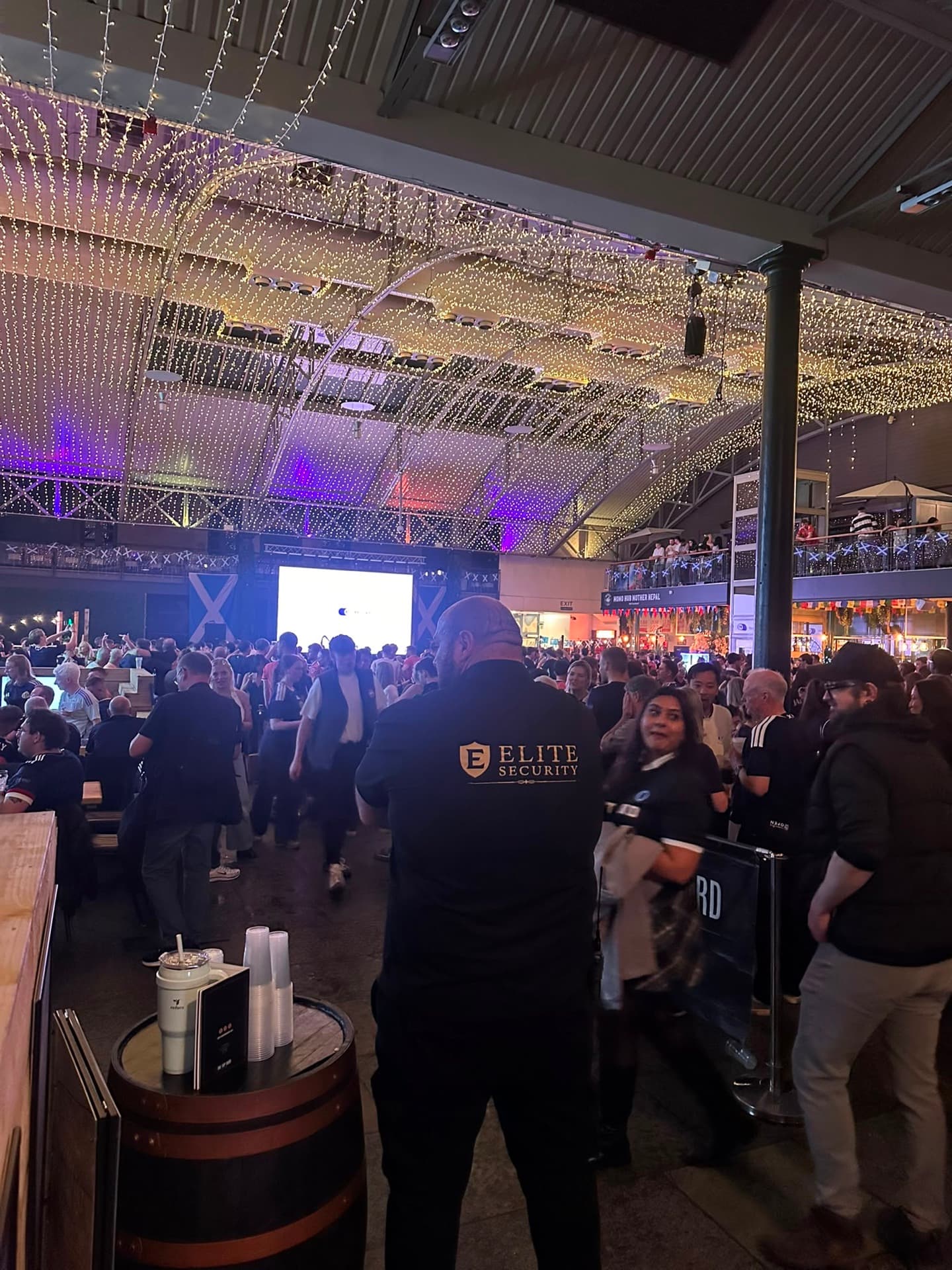Elite Security managing a large event fan-zone crowd